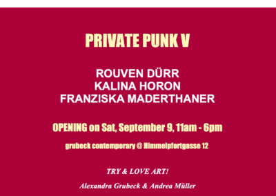 PRIVATE PUNK V